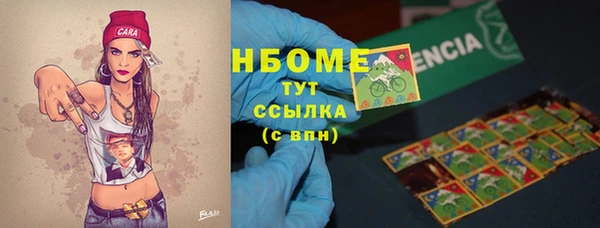 гидропоника Алзамай
