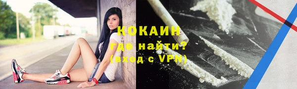 крисы Абаза