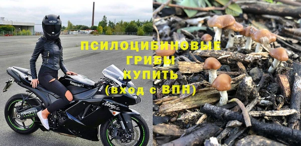 гидропоника Алзамай
