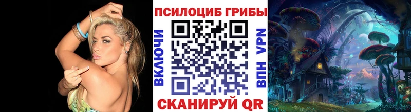 даркнет сайт  Кострома  Галлюциногенные грибы Cubensis 